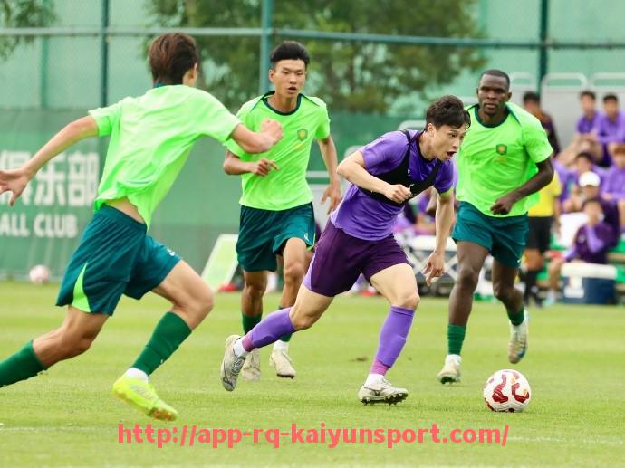 开云体育官网app下载-德甲18支球队实力排名及赛季预测详解